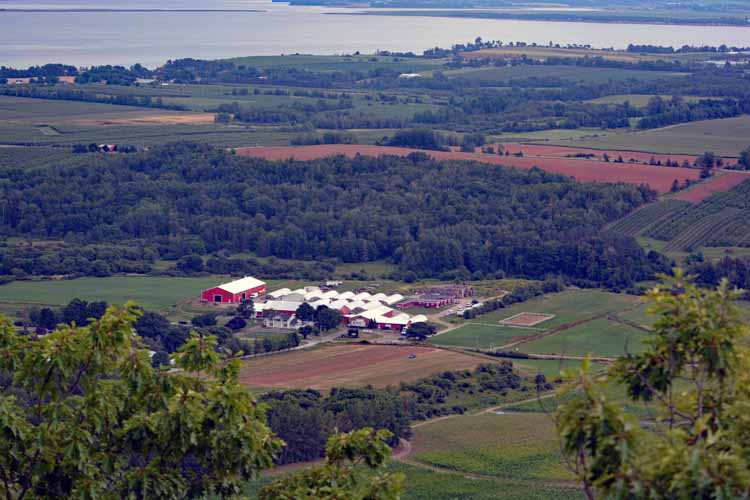 the lookoff